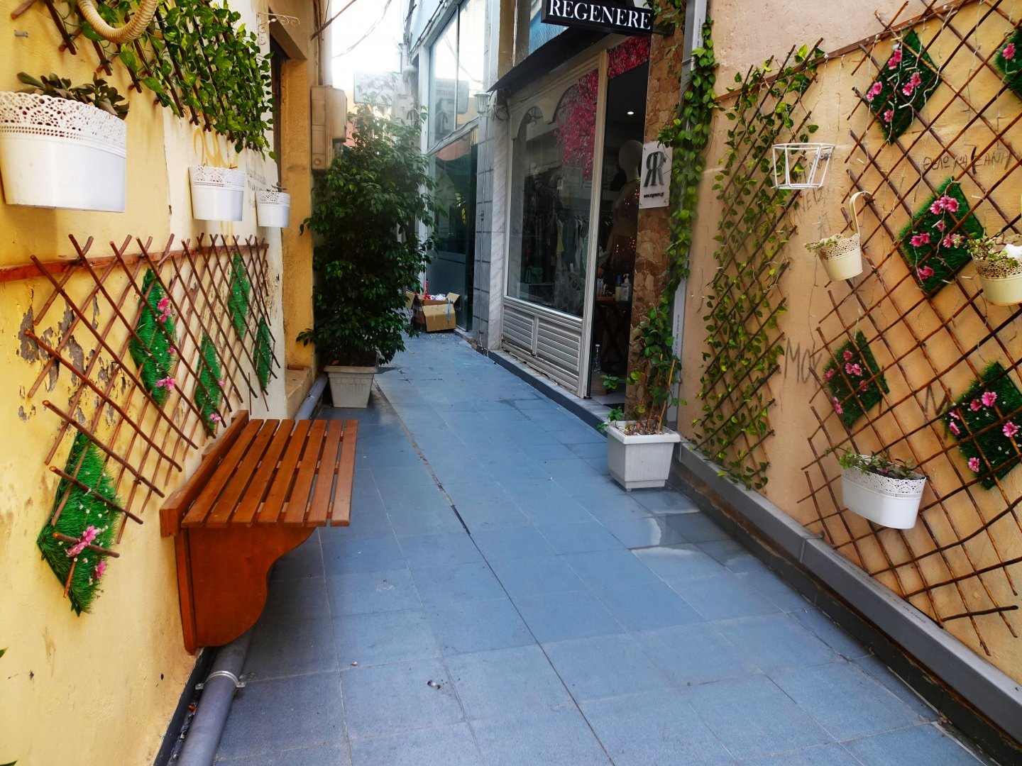 DSC07946.JPG