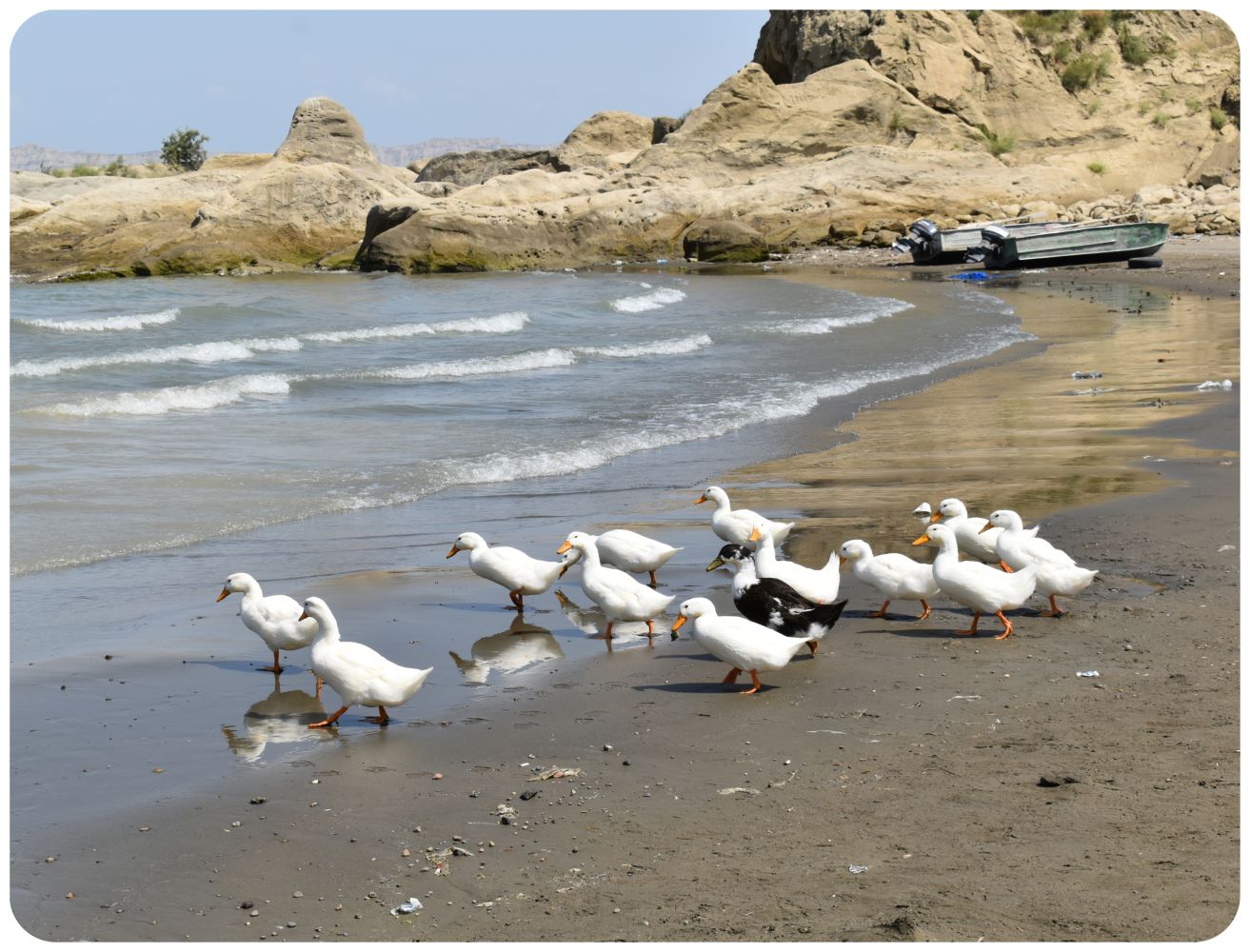 beach6.jpg