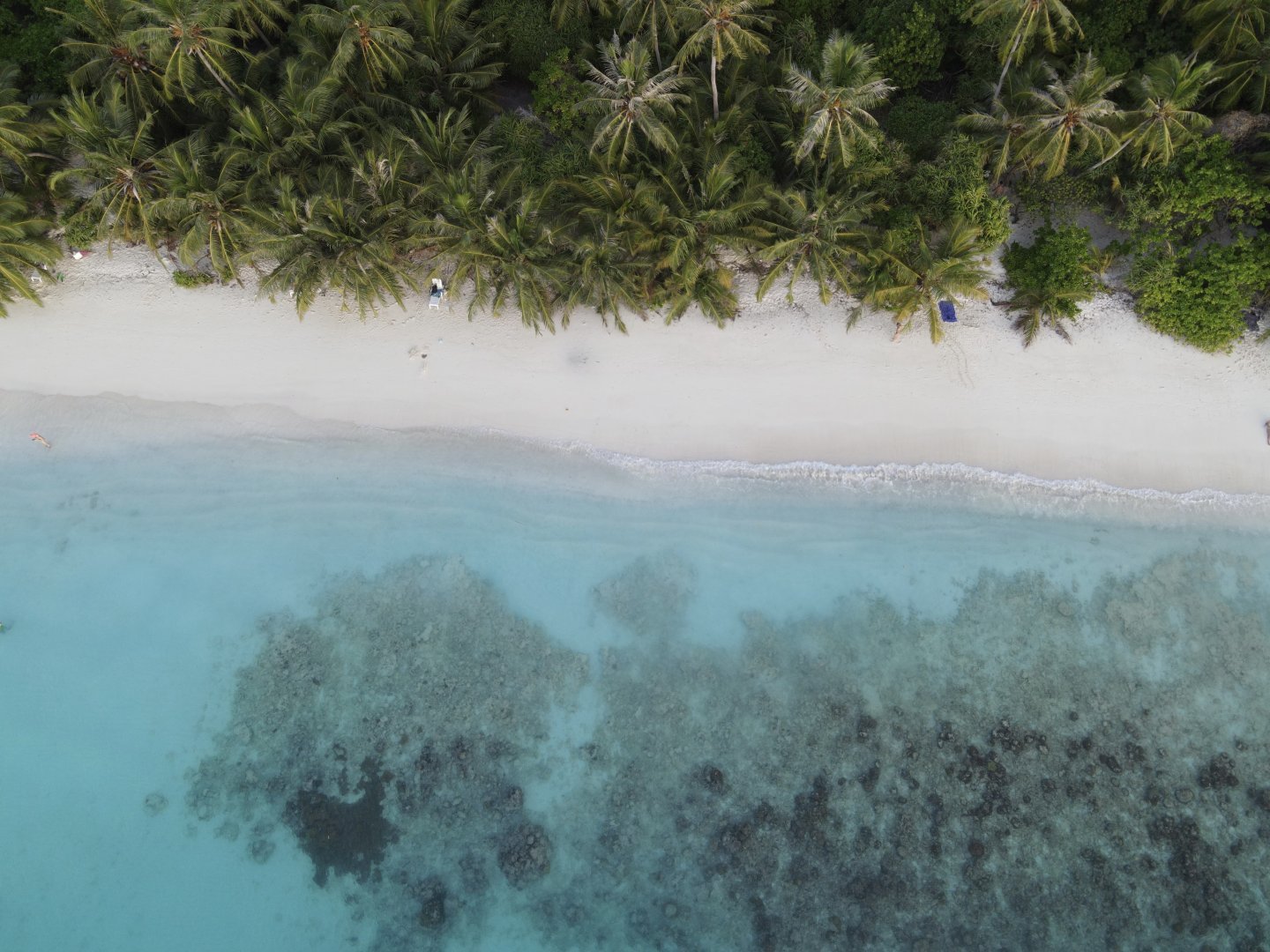 dji_fly_20250821_170714_986_1755.jpg