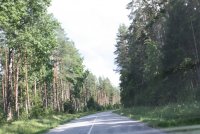 IMG_4347.JPG