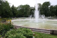 IMG_4482.JPG