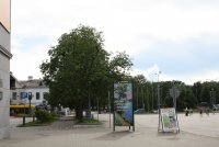 IMG_4490.JPG