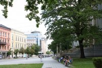 IMG_4660.JPG