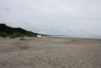 IMG_4817.JPG