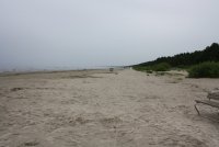 IMG_4818.JPG
