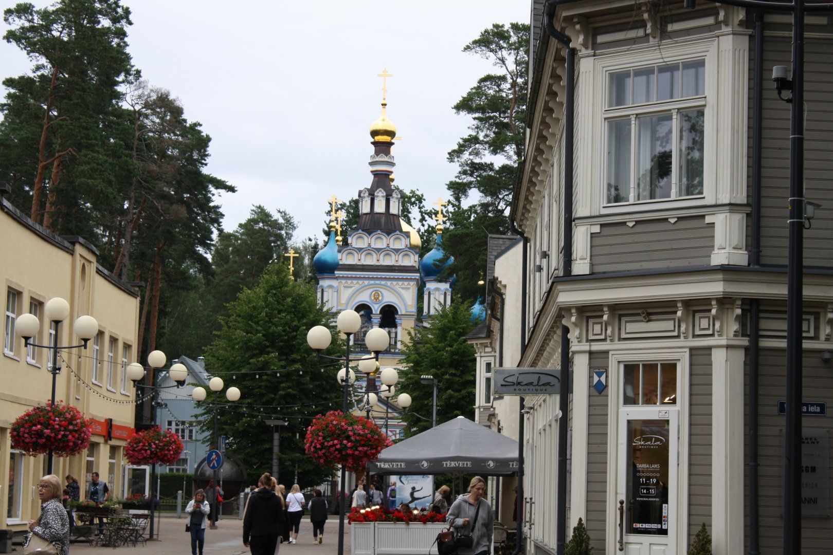 IMG_4849.JPG