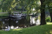 IMG_4910.JPG