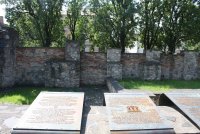 IMG_4949.JPG