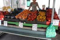IMG_5054.JPG