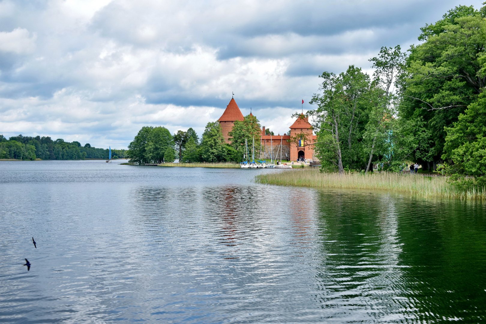 DSC_0987.JPG