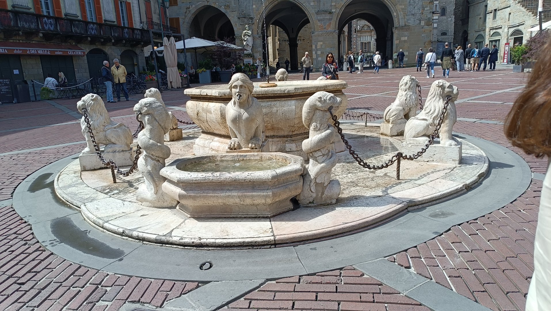 IMG_20250527_110442.jpg
