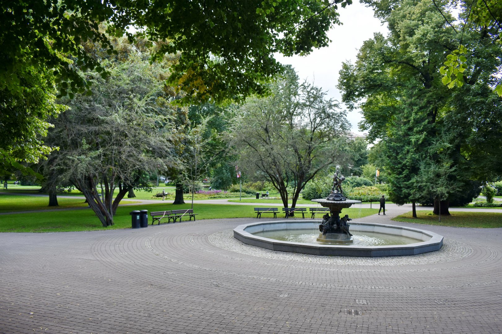 DSC_0354.JPG