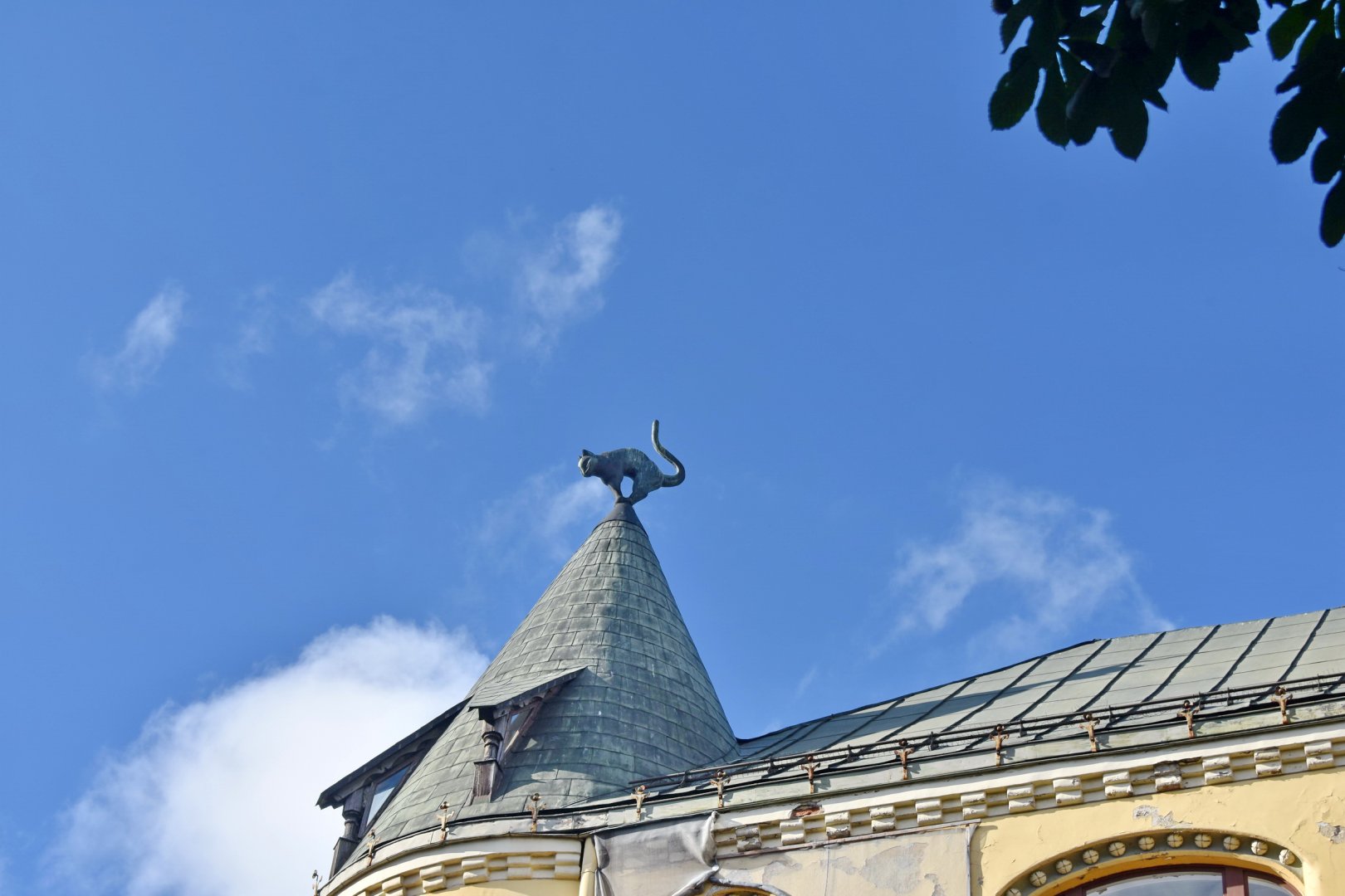 DSC_0464.JPG