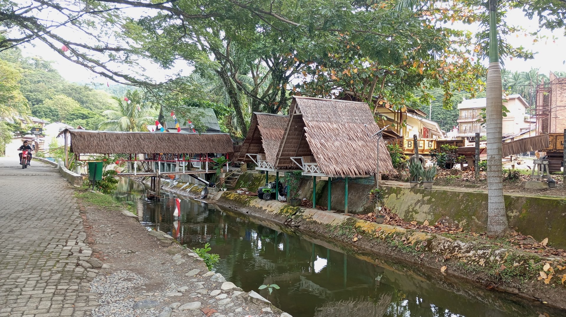 IMG_2 (398) Bukit Lawang.jpg