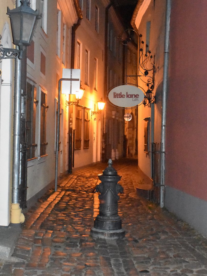 DSC_0524.JPG