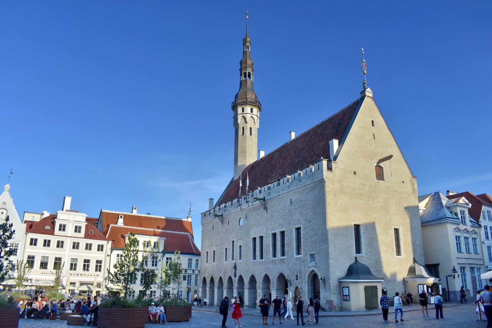 DSC_0565.JPG