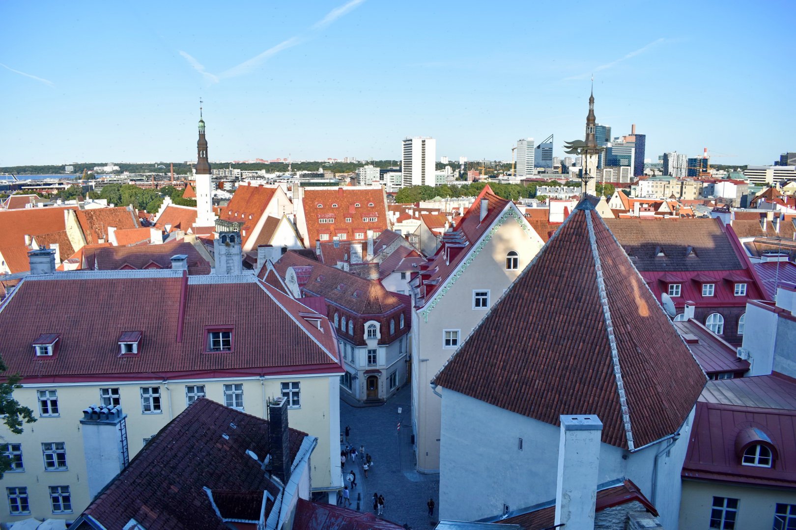 DSC_0585.JPG