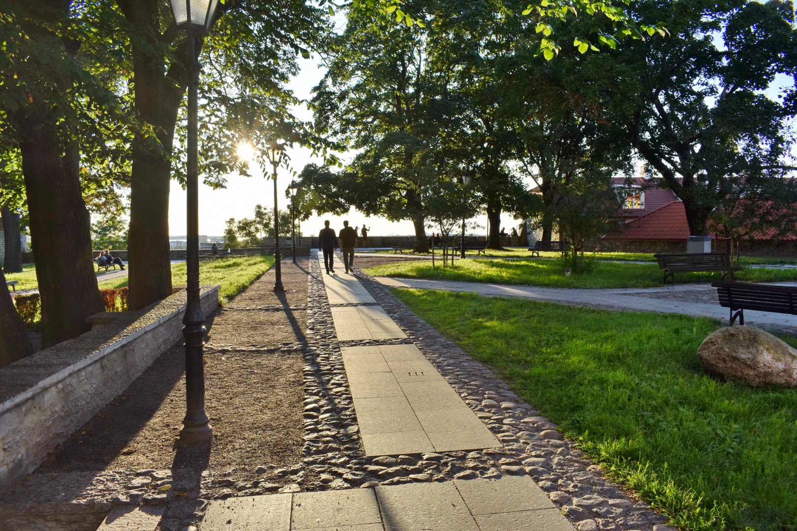 DSC_0613.JPG