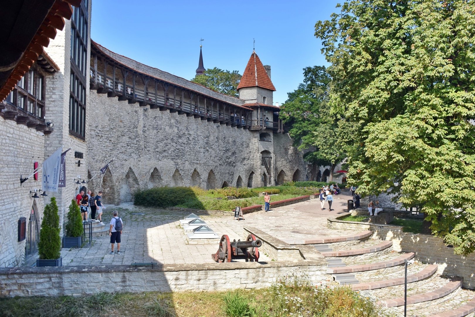 DSC_0708.JPG