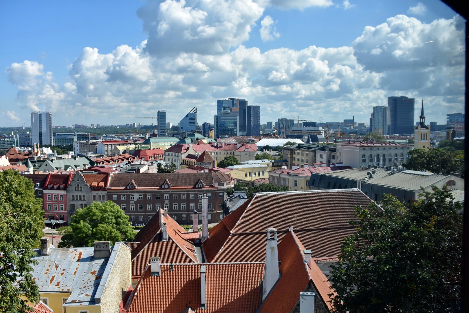 DSC_0716.JPG