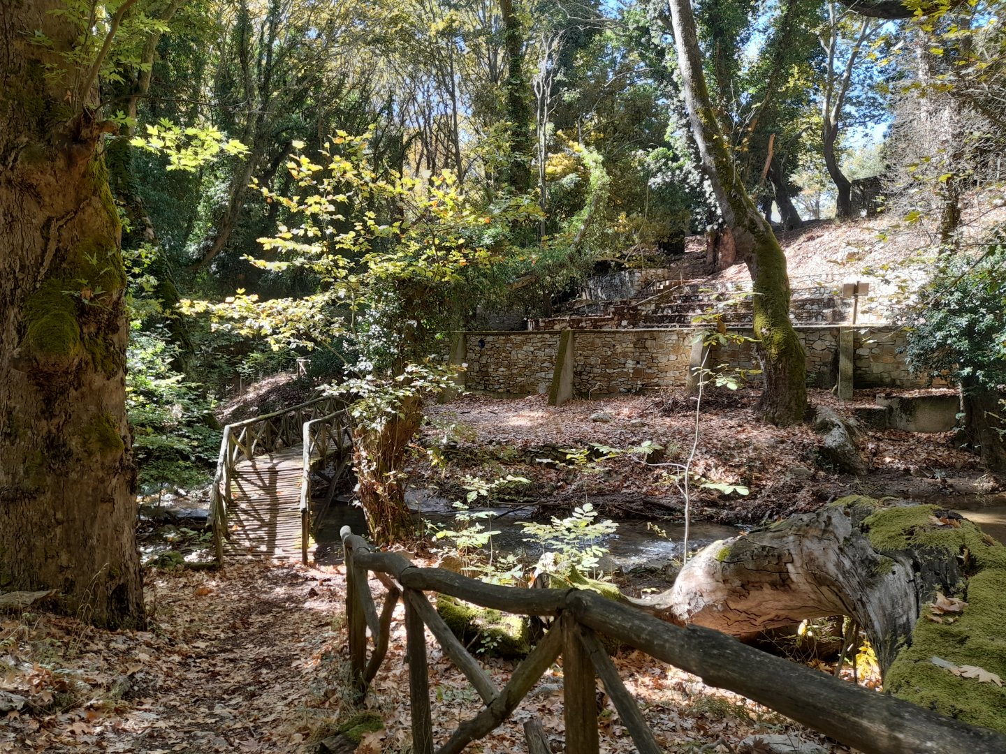 20251005_131543.jpg