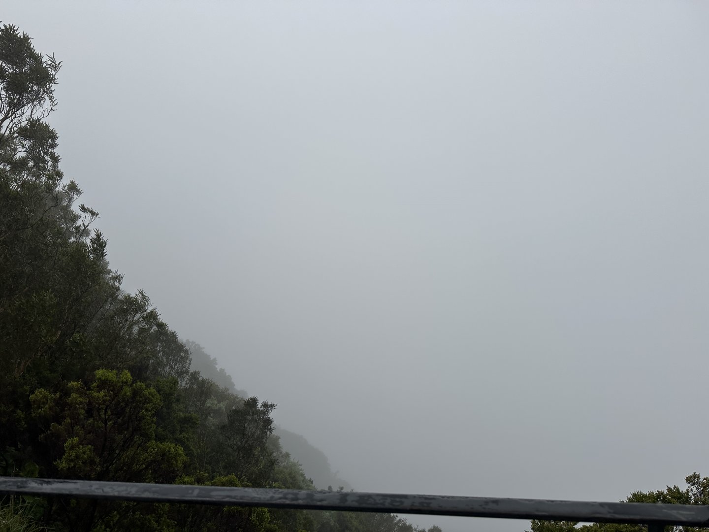 110. Nez de Boeuf.JPG