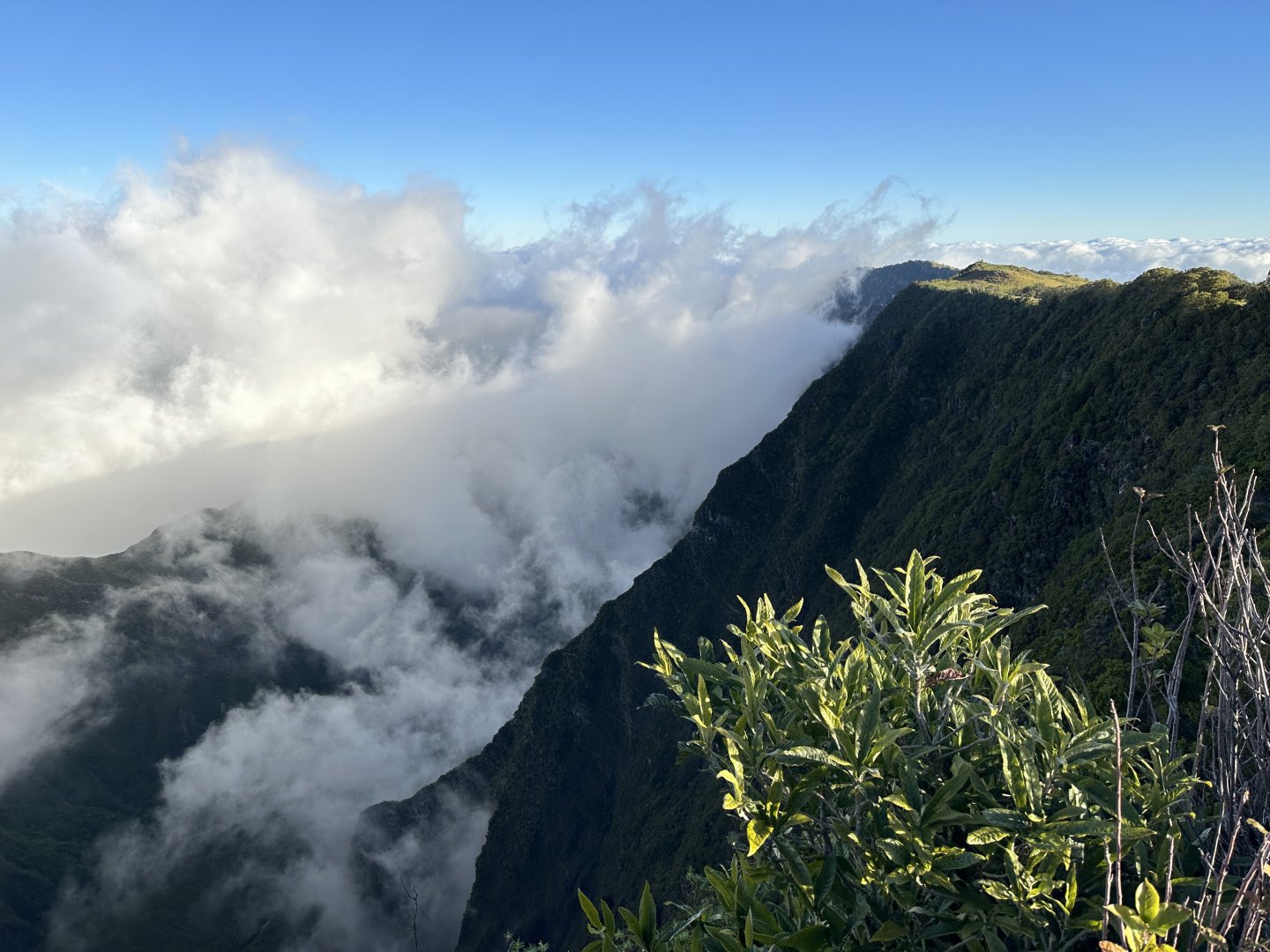 118b. Nez de Boeuf 2.JPG