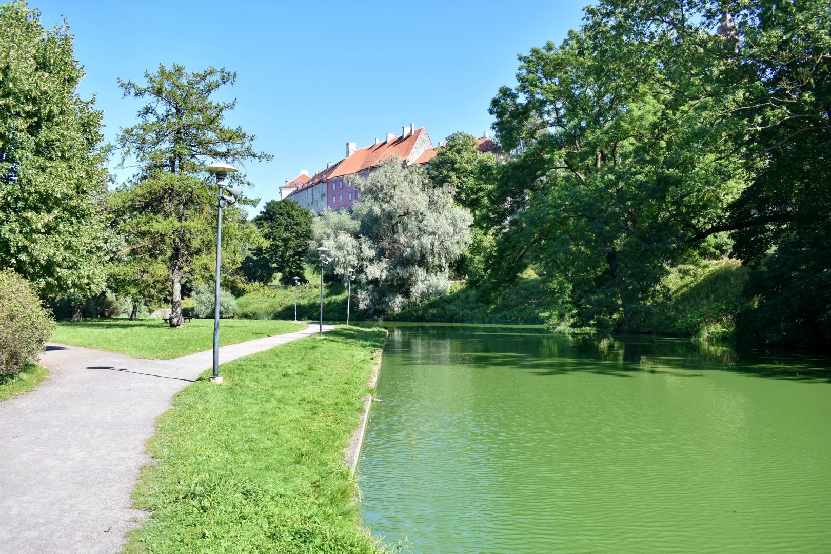 DSC_0815.JPG