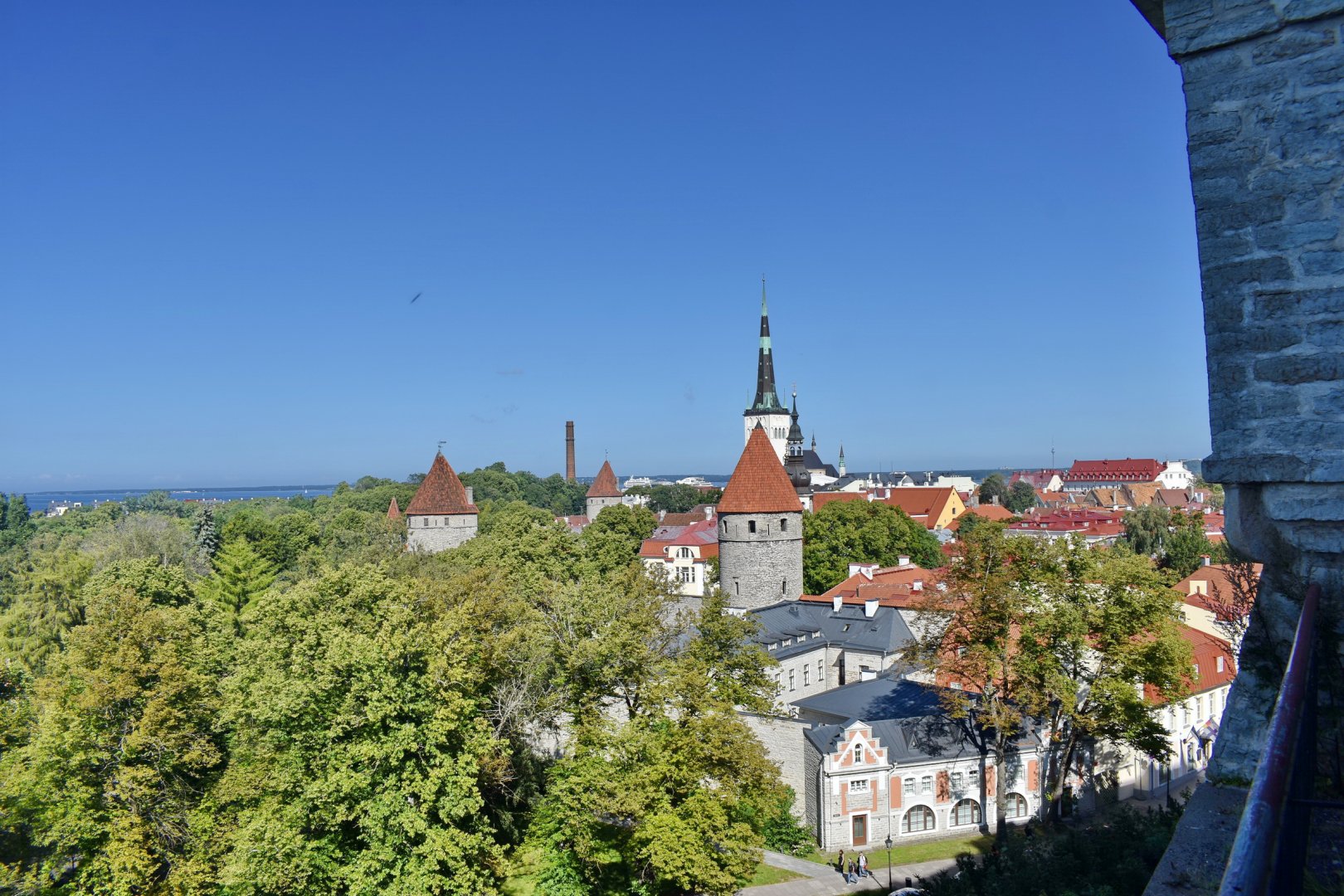 DSC_0823.JPG