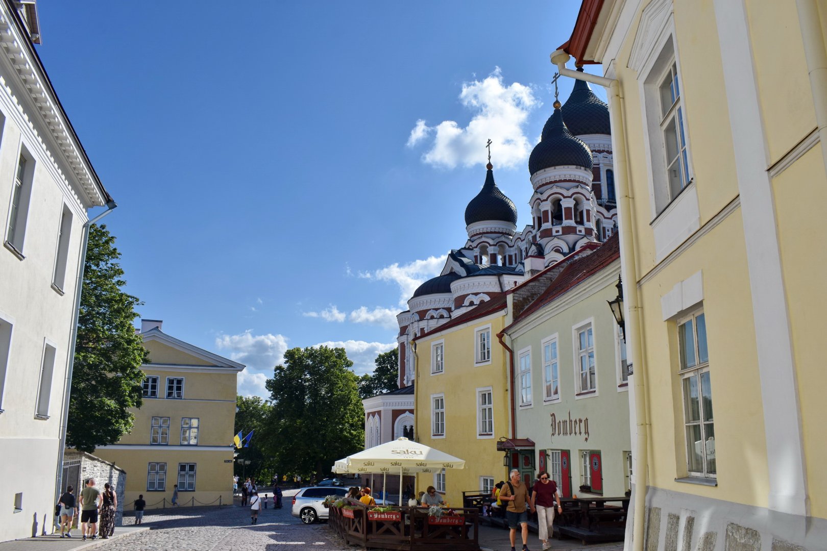 DSC_0826.JPG