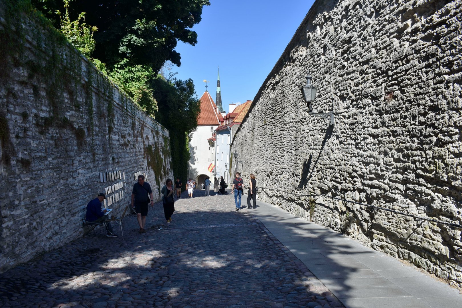 DSC_0828.JPG