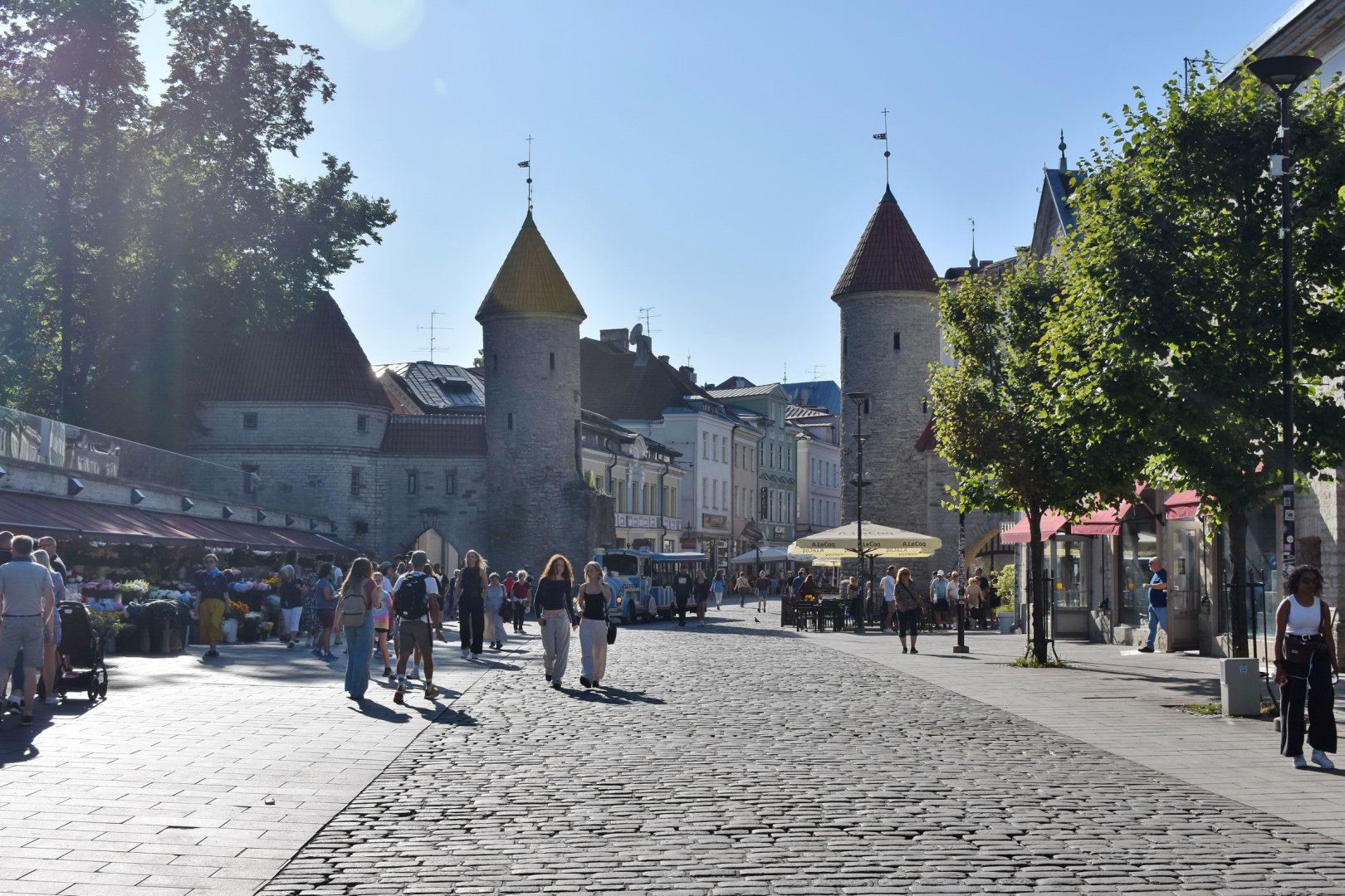 DSC_0876.JPG