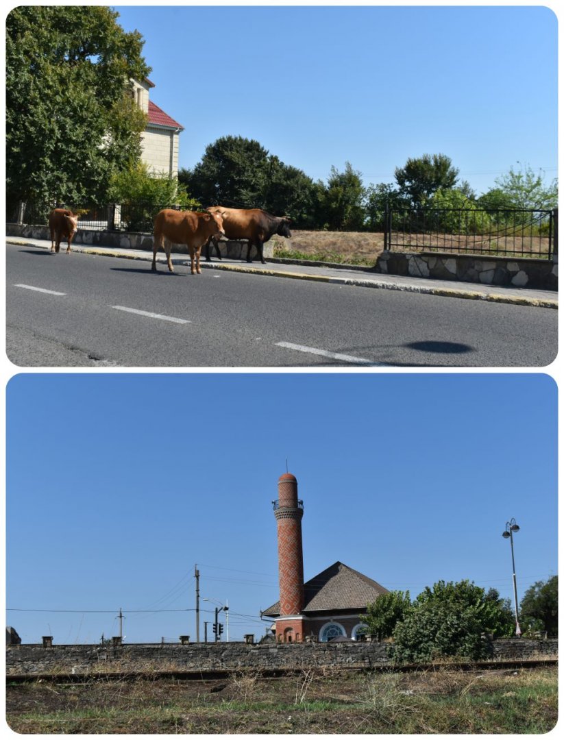 townpictures2.jpg