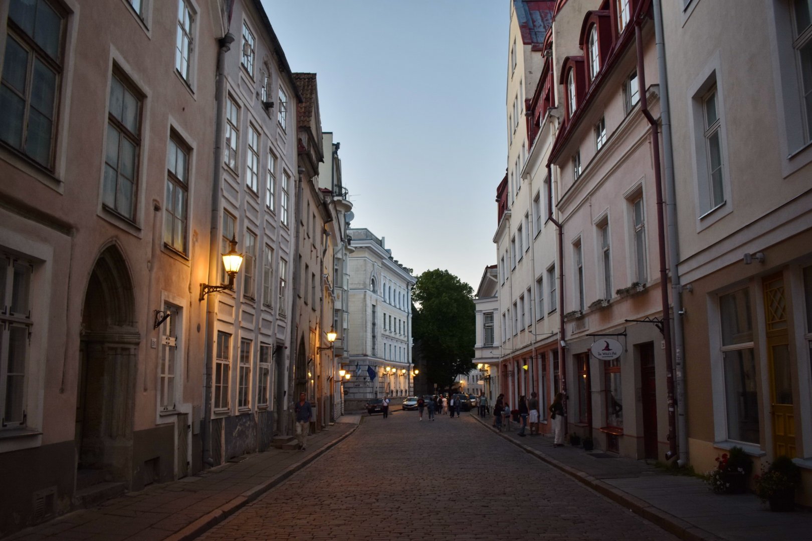 DSC_0907.JPG