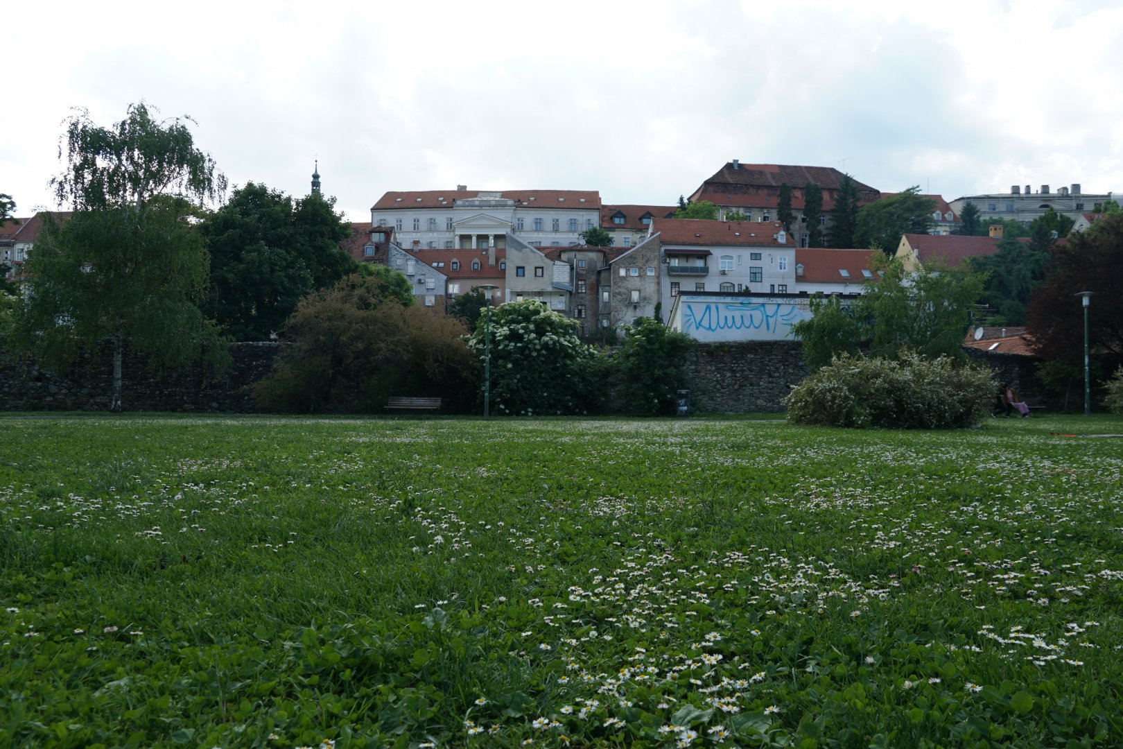 DSC06263.JPG