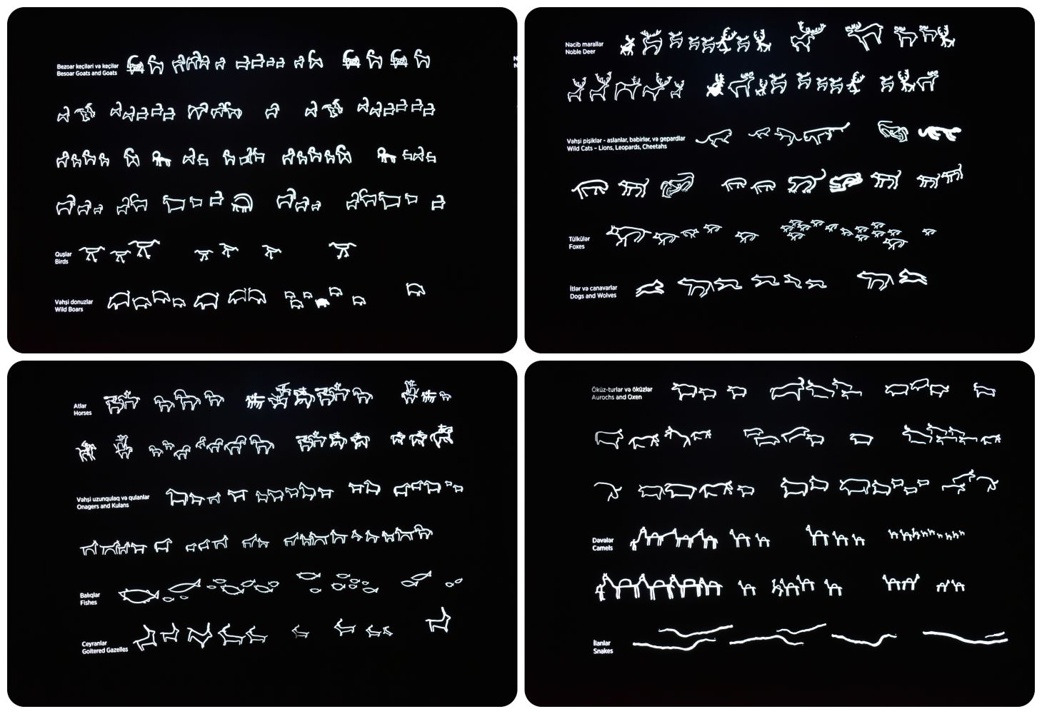 gobustanmuseum7.jpg