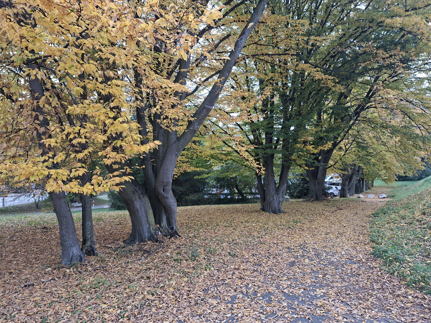 20251013_131410.jpg