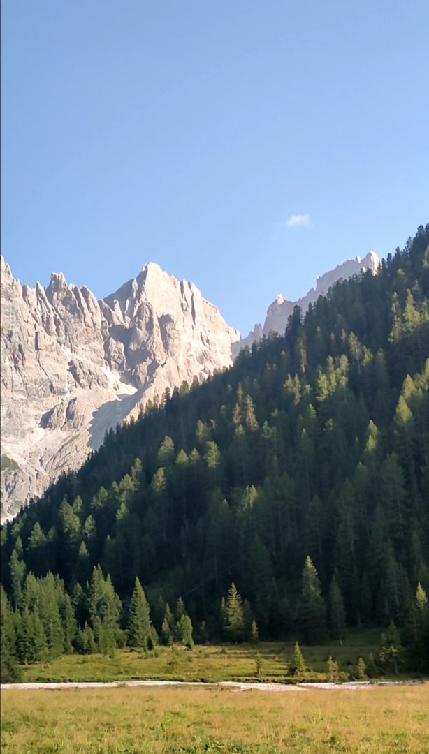 Screenshot 2025-10-16 114224.jpg