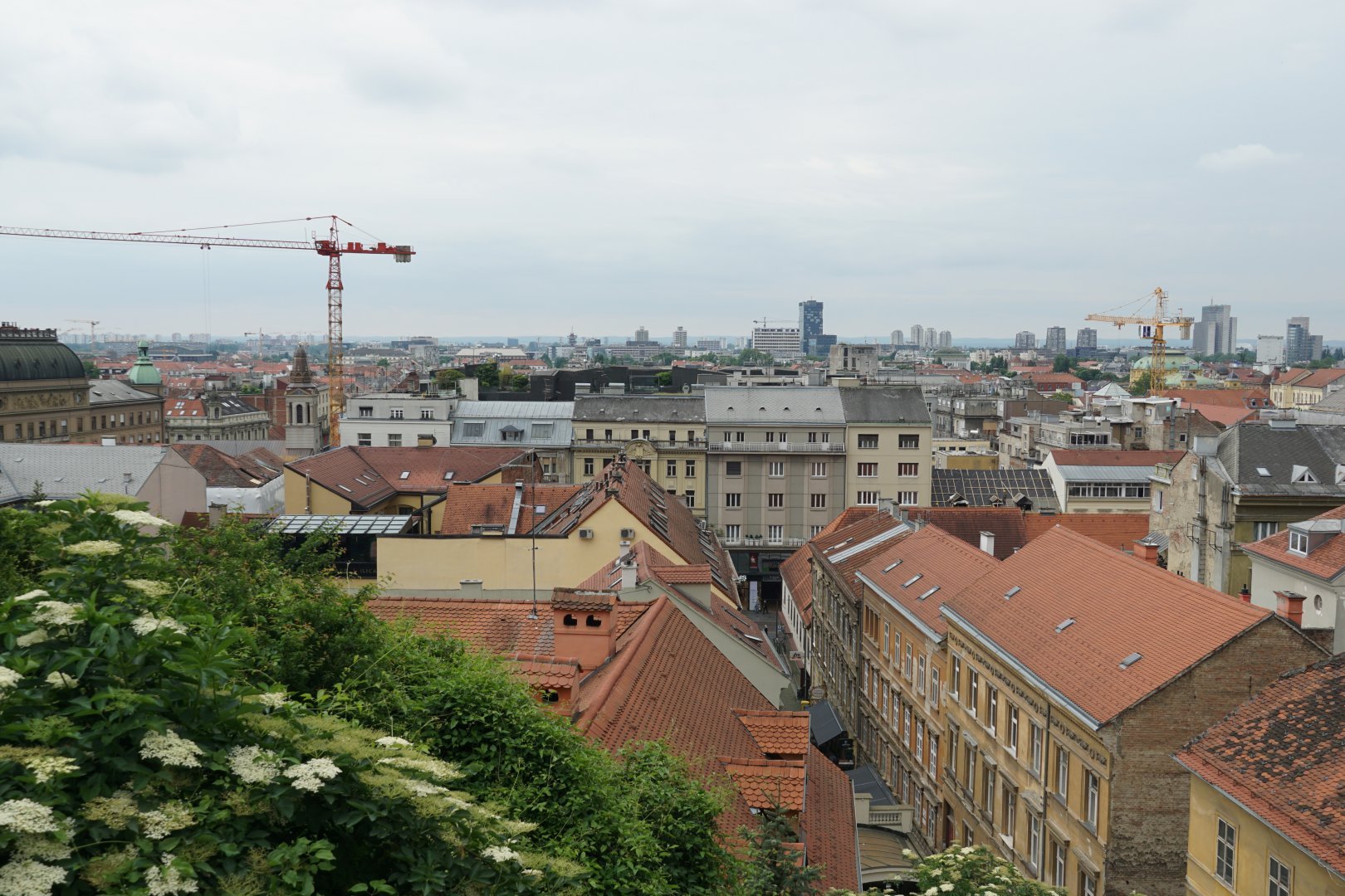DSC06307.JPG