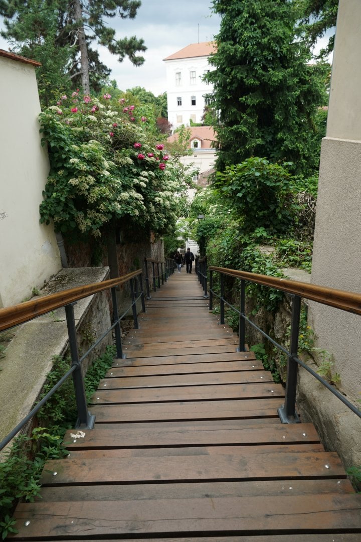 DSC06317.JPG