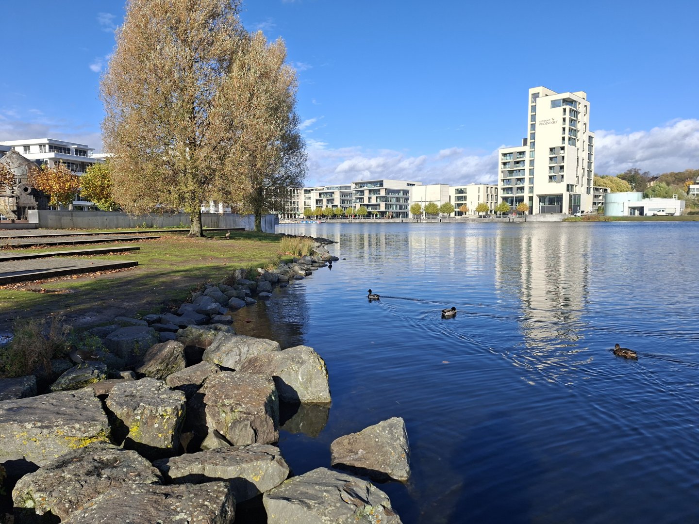 20251023_112810.jpg