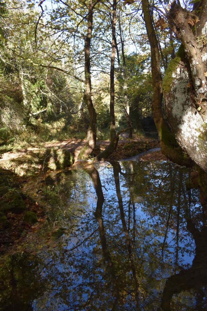 2025-10-25_Pavliani.jpg