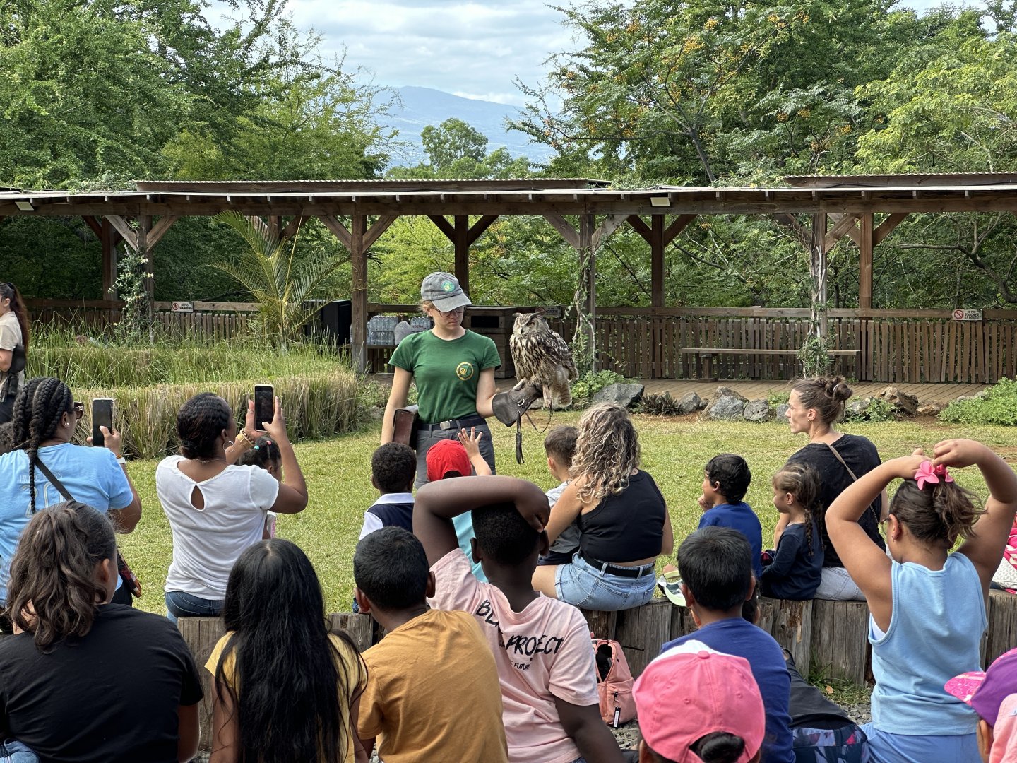 148a. Πουλιά 1.JPG