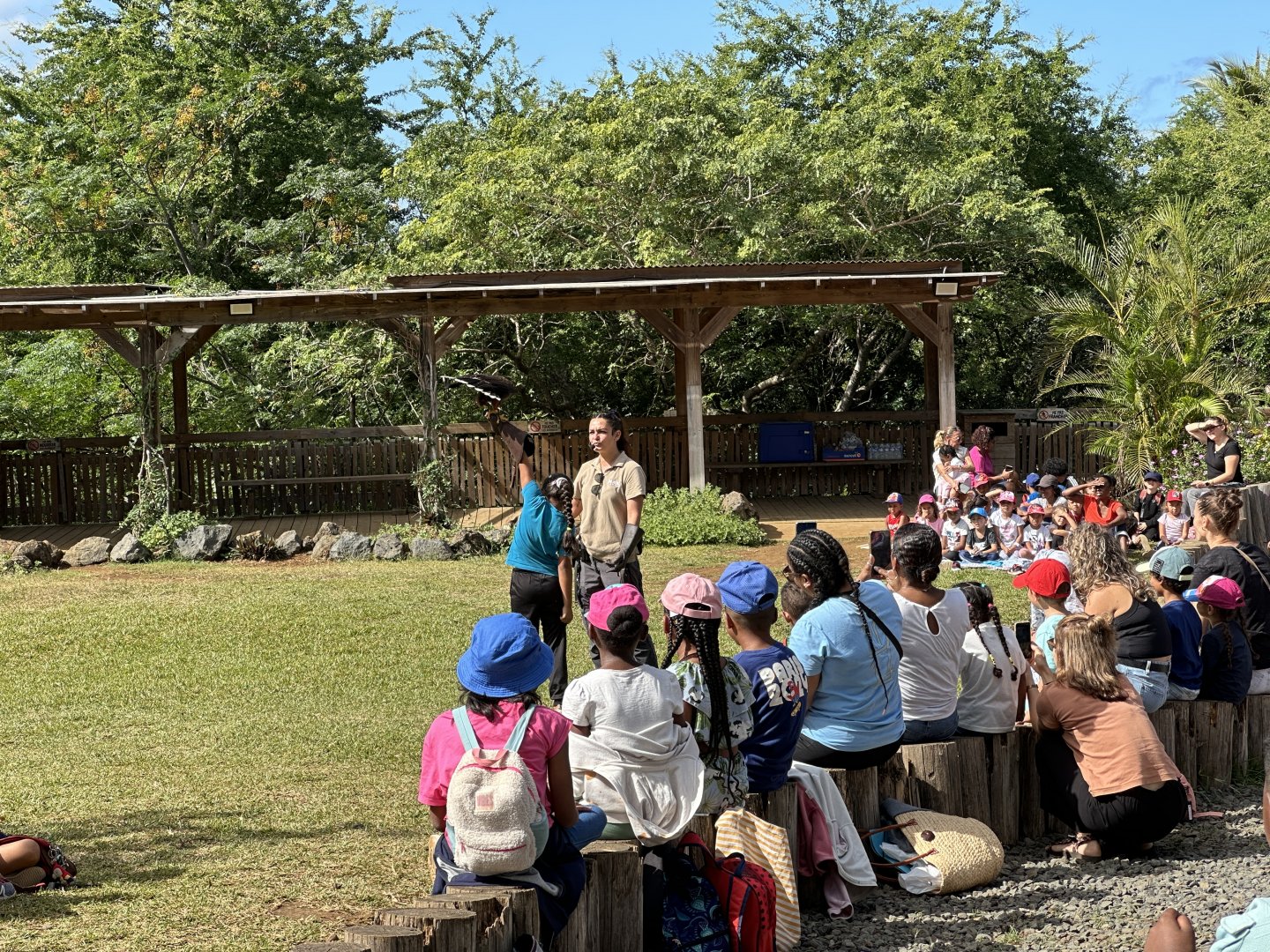 148c. Πουλιά 3.JPG