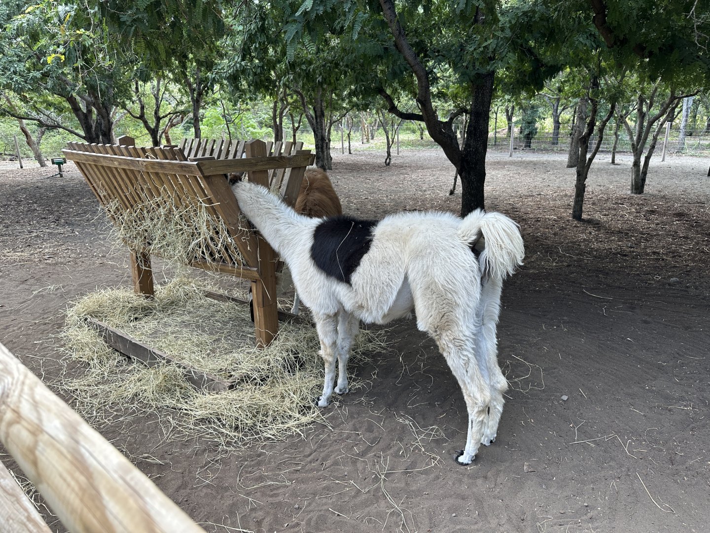 150b. Περού 2.JPG