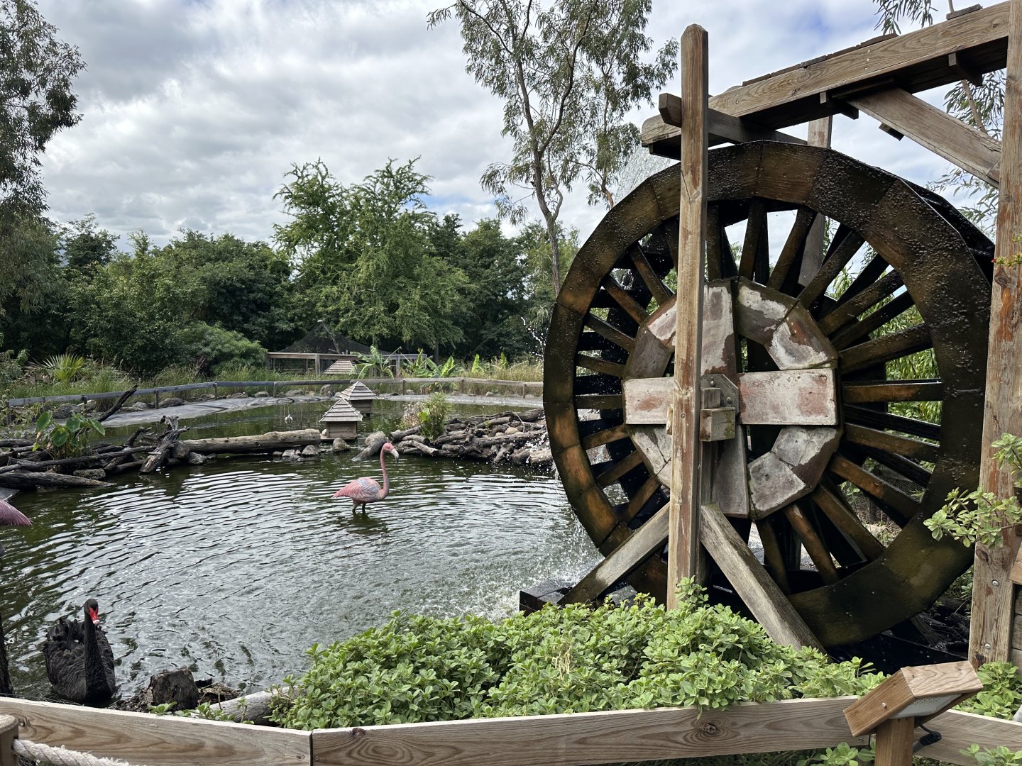 151a. Λιμνούλα 1.JPG