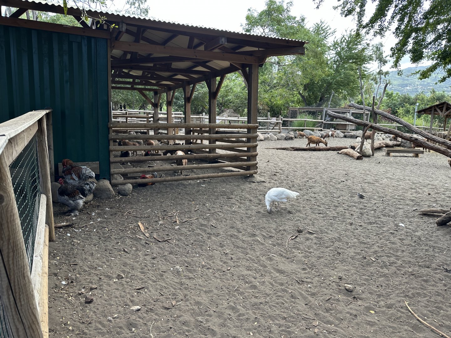 154a. Οικόσιτα 1.JPG