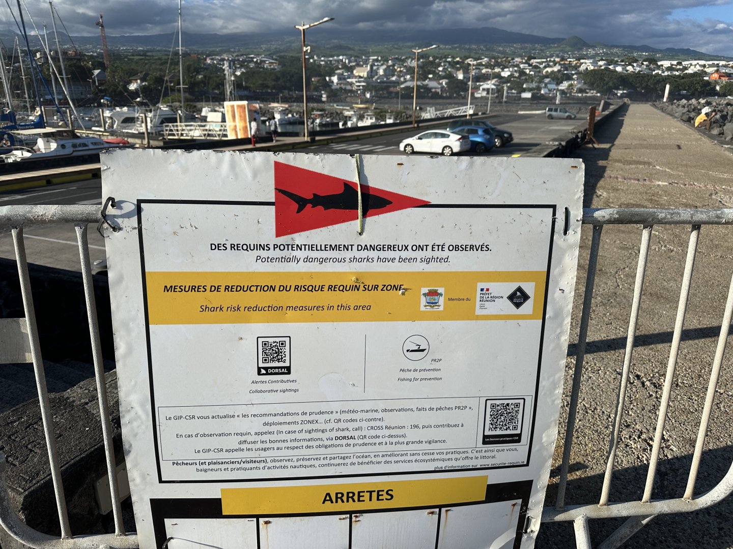 176b. Καρχαρίες.JPG