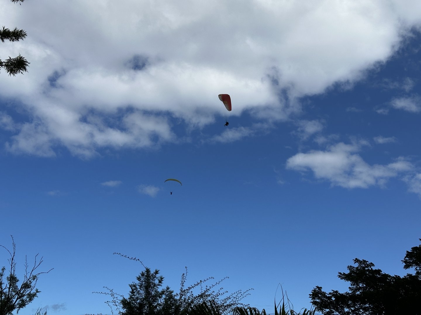 185b. Parapente 2.JPG