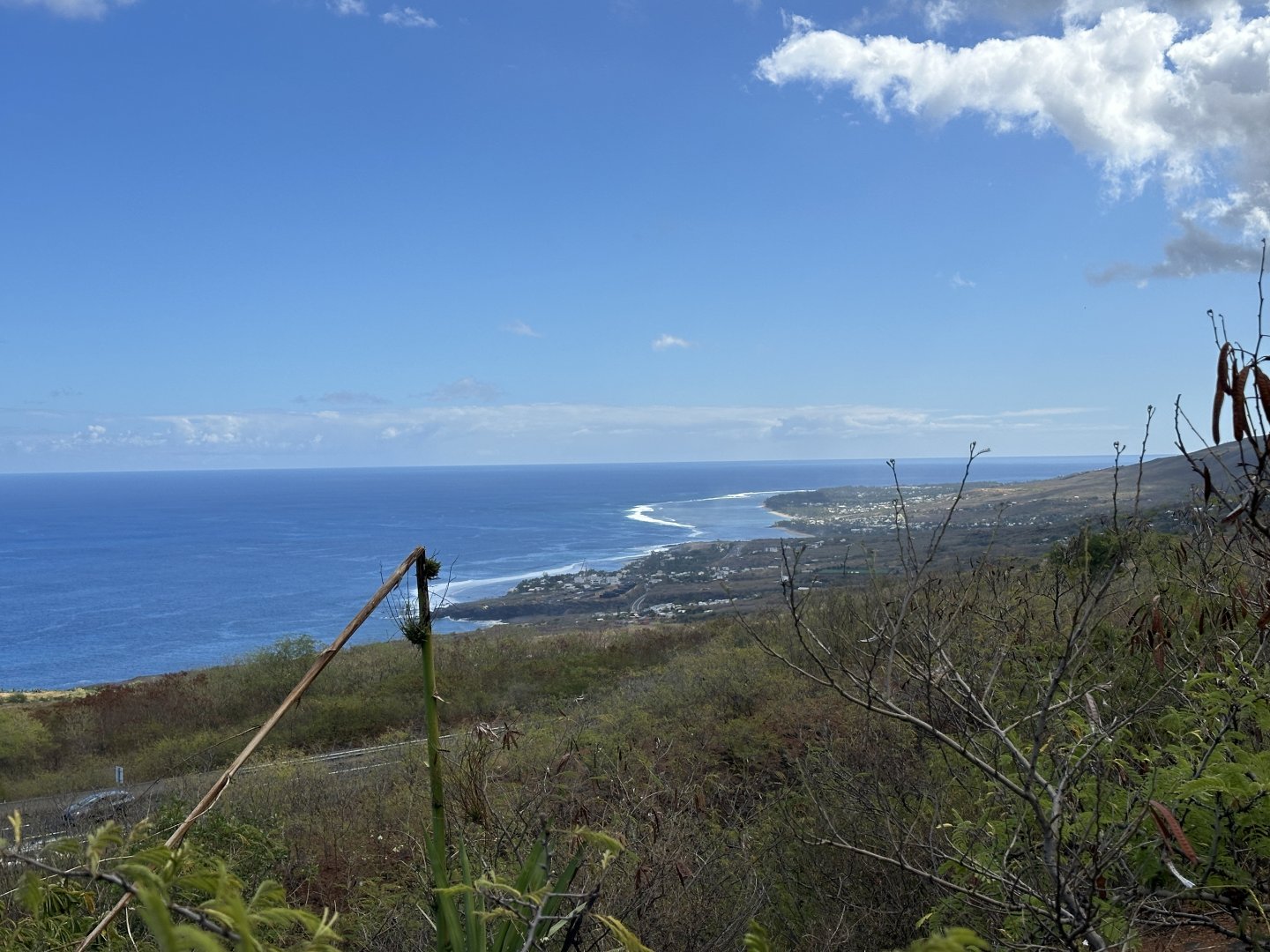 186b. Ακτή 2.JPG